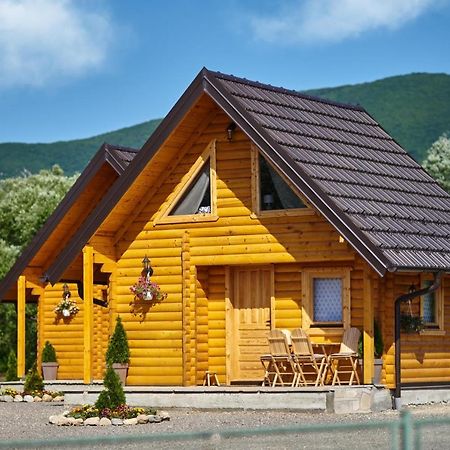 Brvnare Madera Banja Zdrelo Villa Bagian luar foto