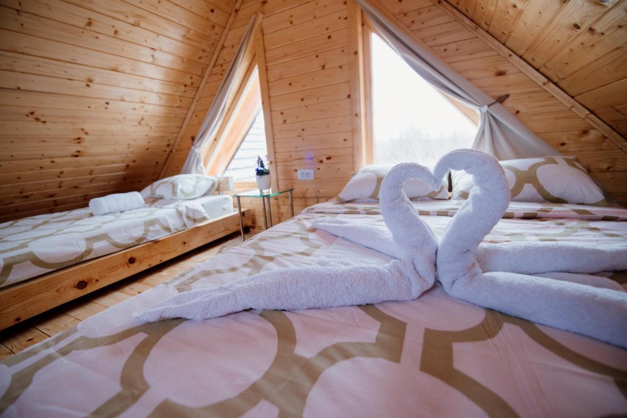 Brvnare Madera Banja Zdrelo Villa Bagian luar foto