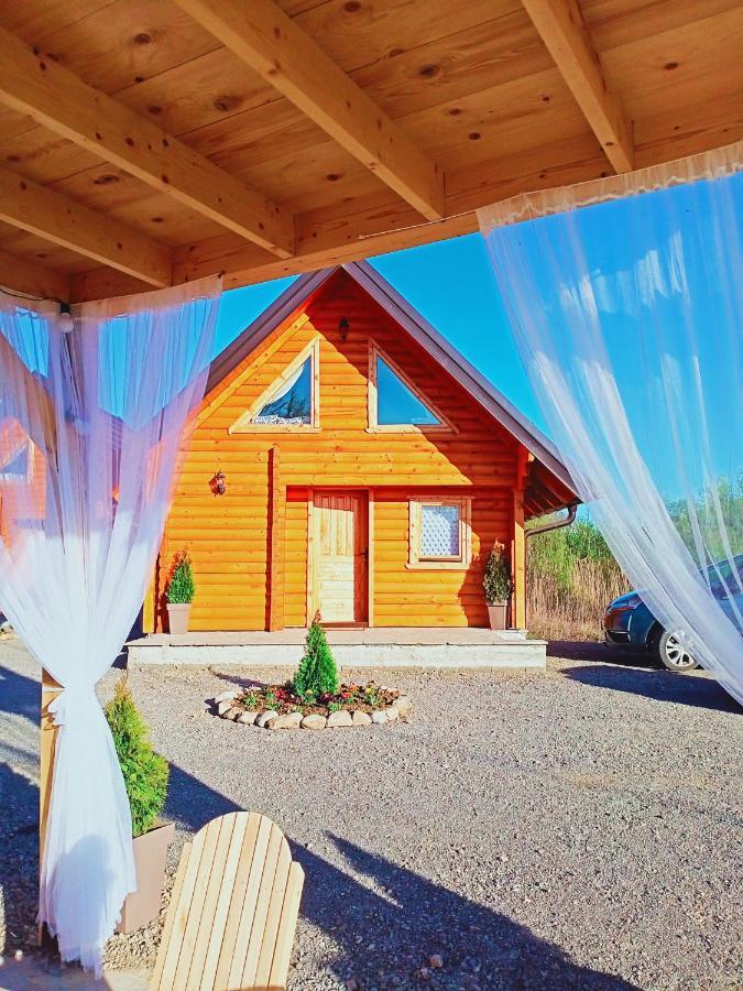 Brvnare Madera Banja Zdrelo Villa Bagian luar foto