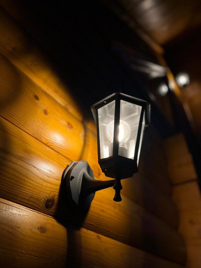 Brvnare Madera Banja Zdrelo Villa Bagian luar foto