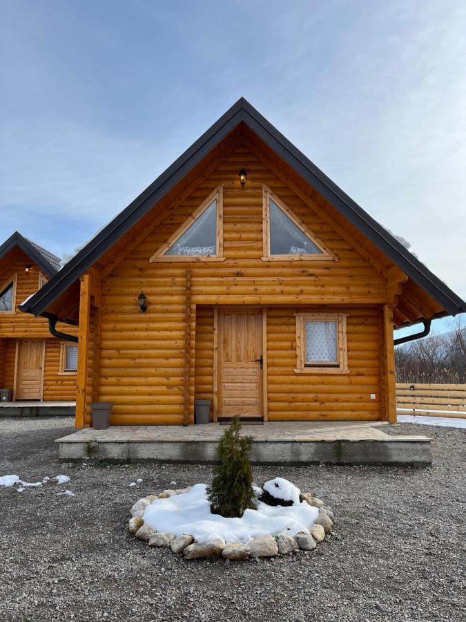 Brvnare Madera Banja Zdrelo Villa Bagian luar foto
