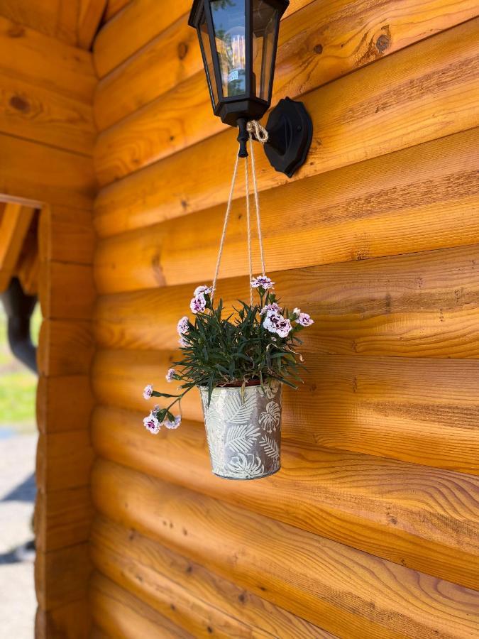 Brvnare Madera Banja Zdrelo Villa Bagian luar foto